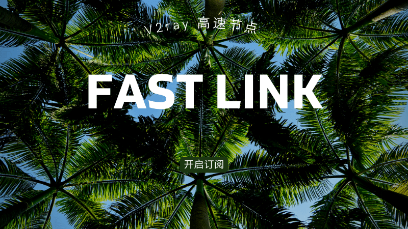 fastlink机场